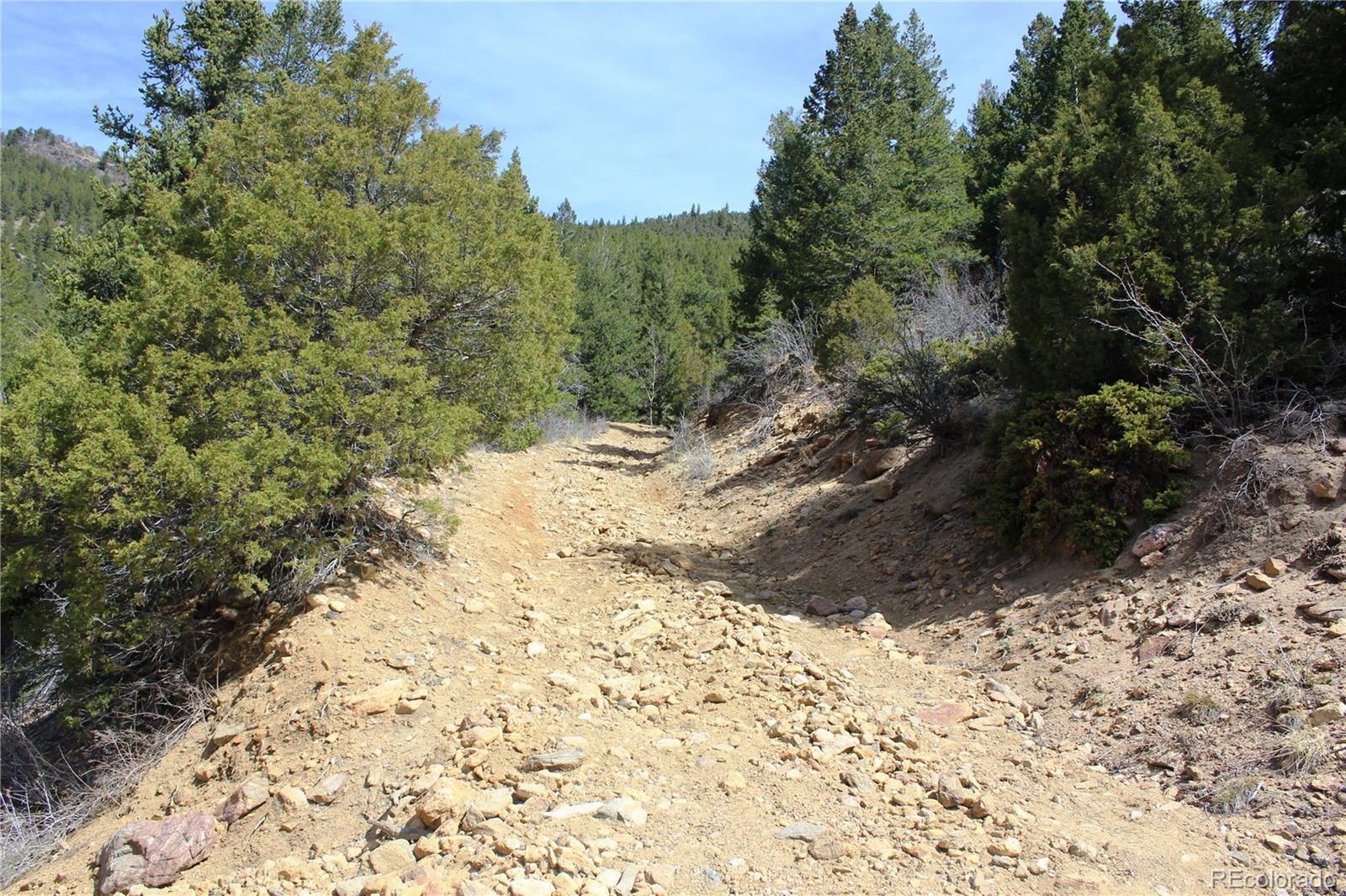 00 County Road 308 Idaho Springs CO 80436