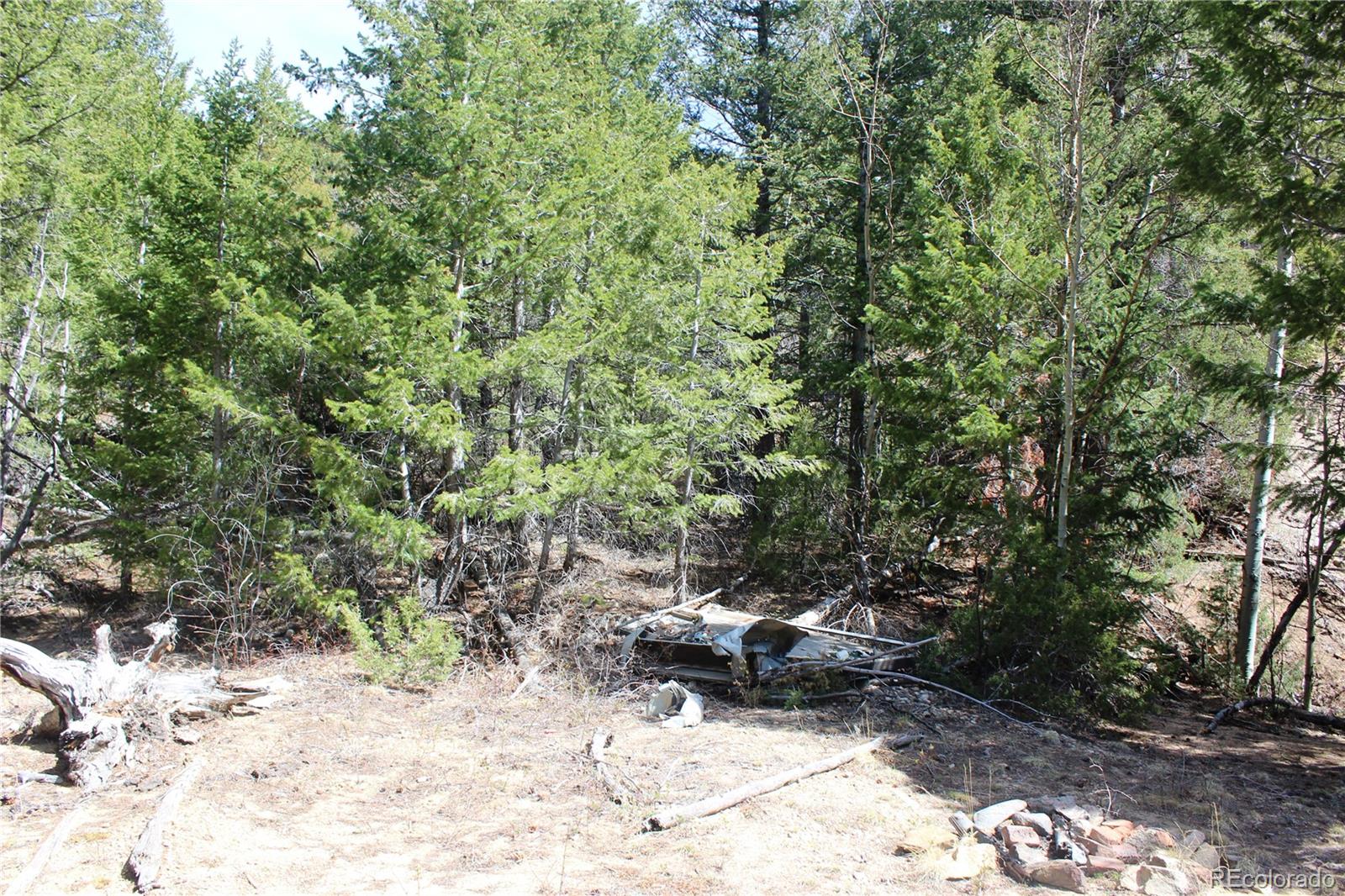 00 County Road 308 Idaho Springs CO 80436