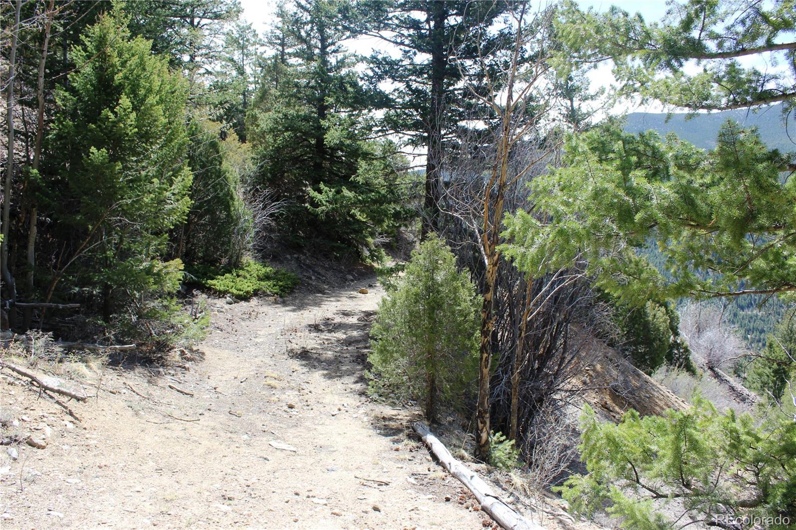 00 County Road 308 Idaho Springs CO 80436