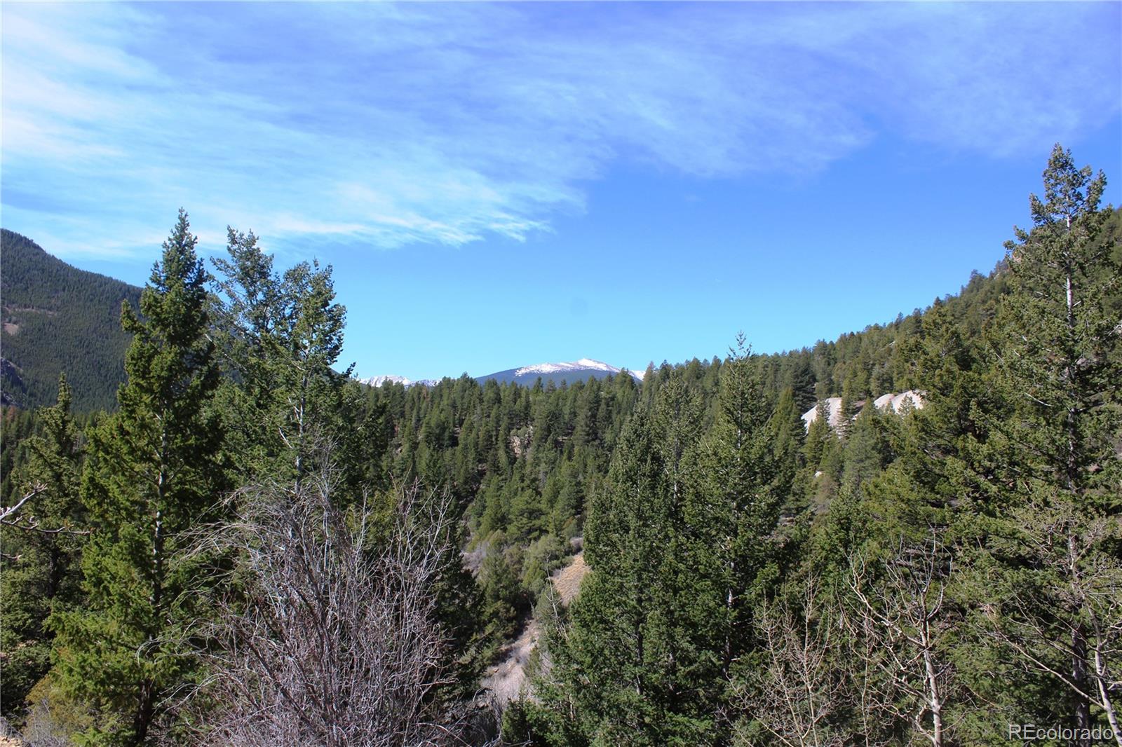00 County Road 308 Idaho Springs CO 80436