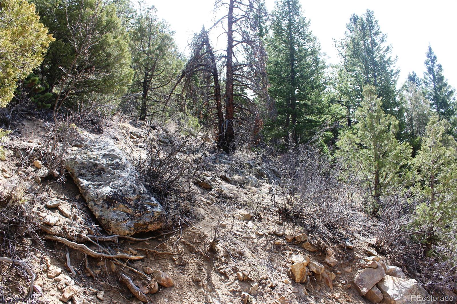 00 County Road 308 Idaho Springs CO 80436