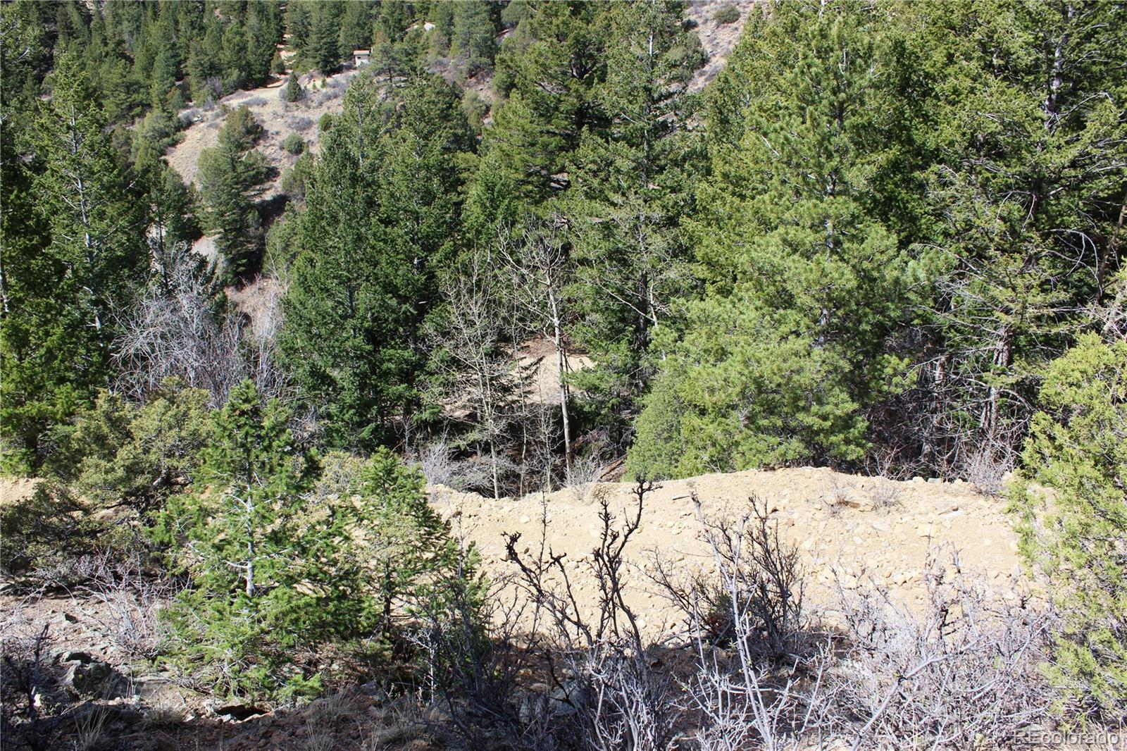00 County Road 308 Idaho Springs CO 80436