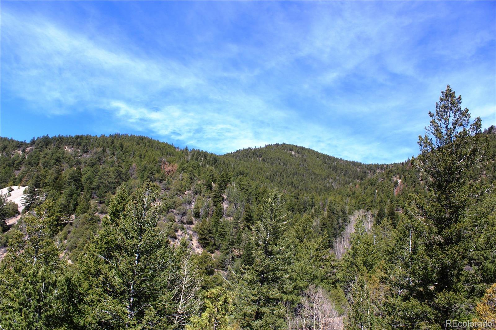 00 County Road 308 Idaho Springs CO 80436