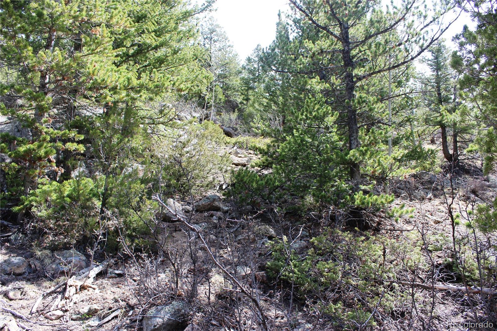 00 County Road 308 Idaho Springs CO 80436