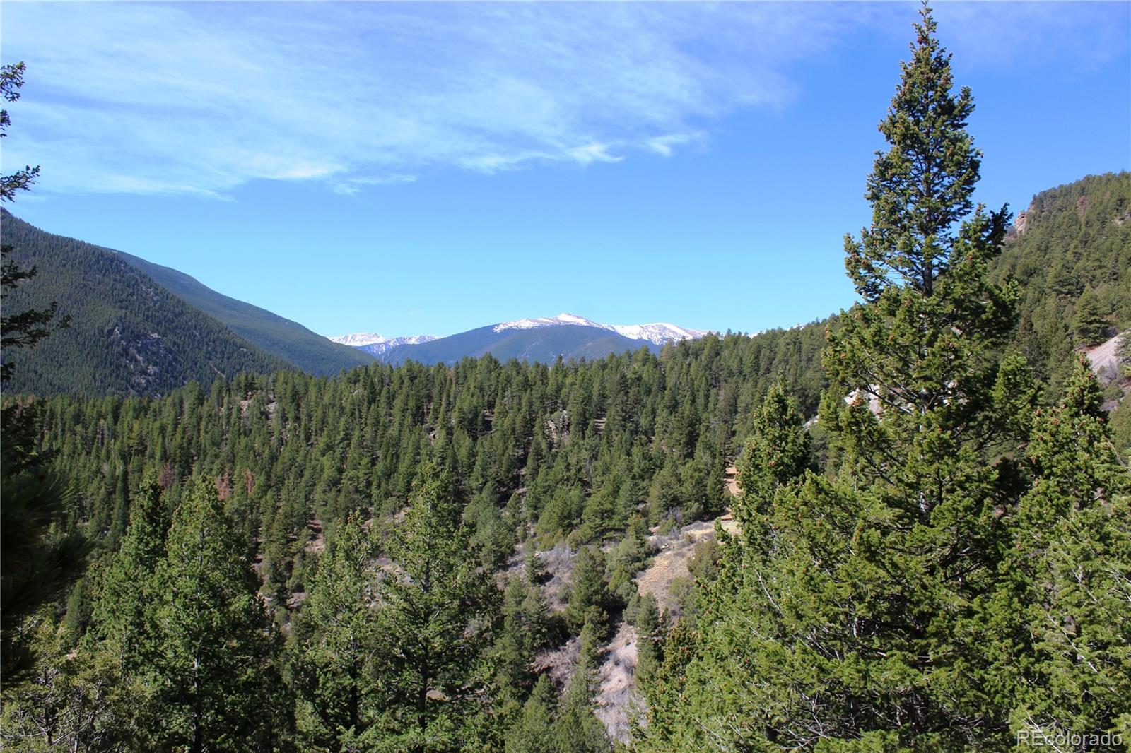 00 County Road 308 Idaho Springs CO 80436