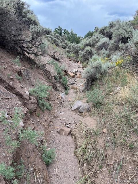Lot 4516 Beekman Fort Garland CO 81133