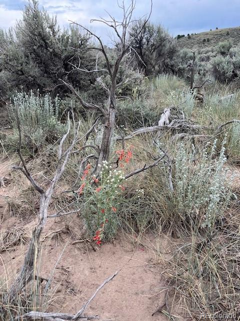 Lot 4516 Beekman Fort Garland CO 81133