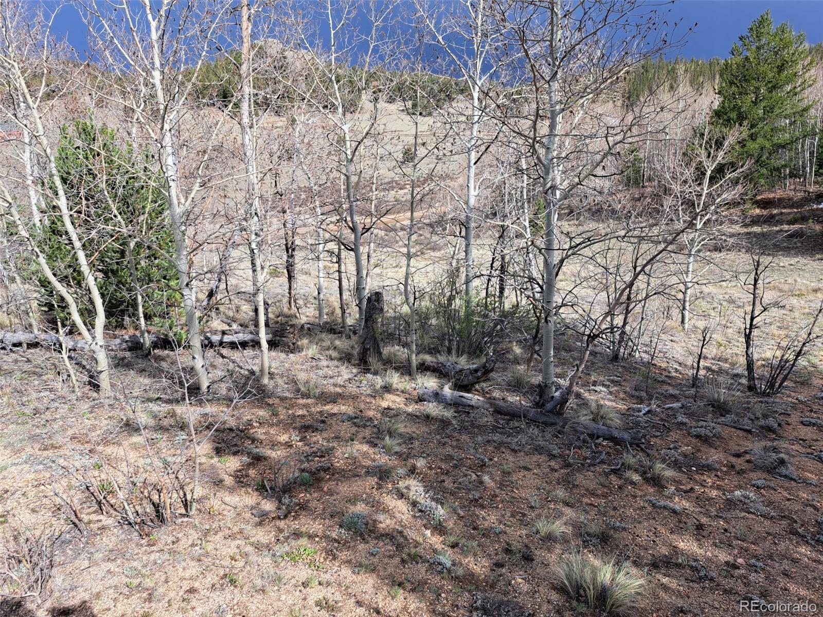 1411 Travois Road Como CO 80432