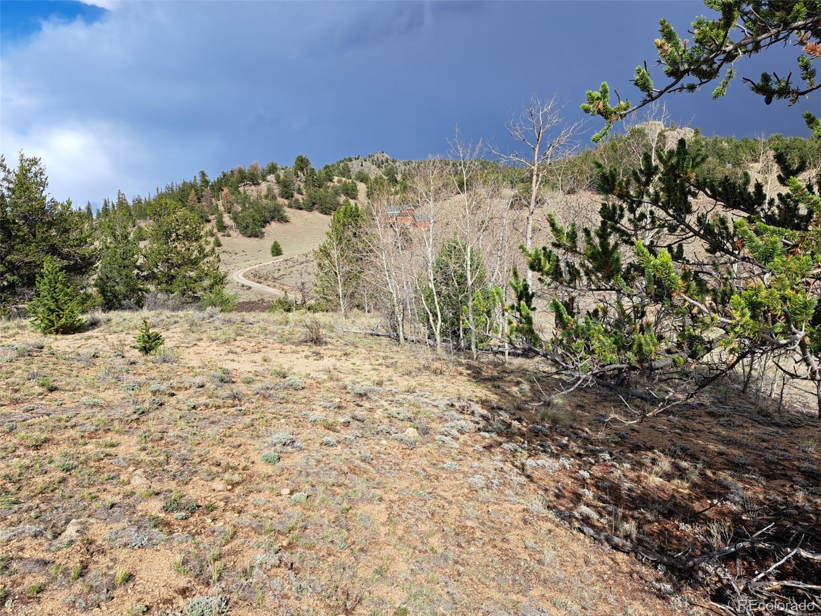 1411 Travois Road Como CO 80432