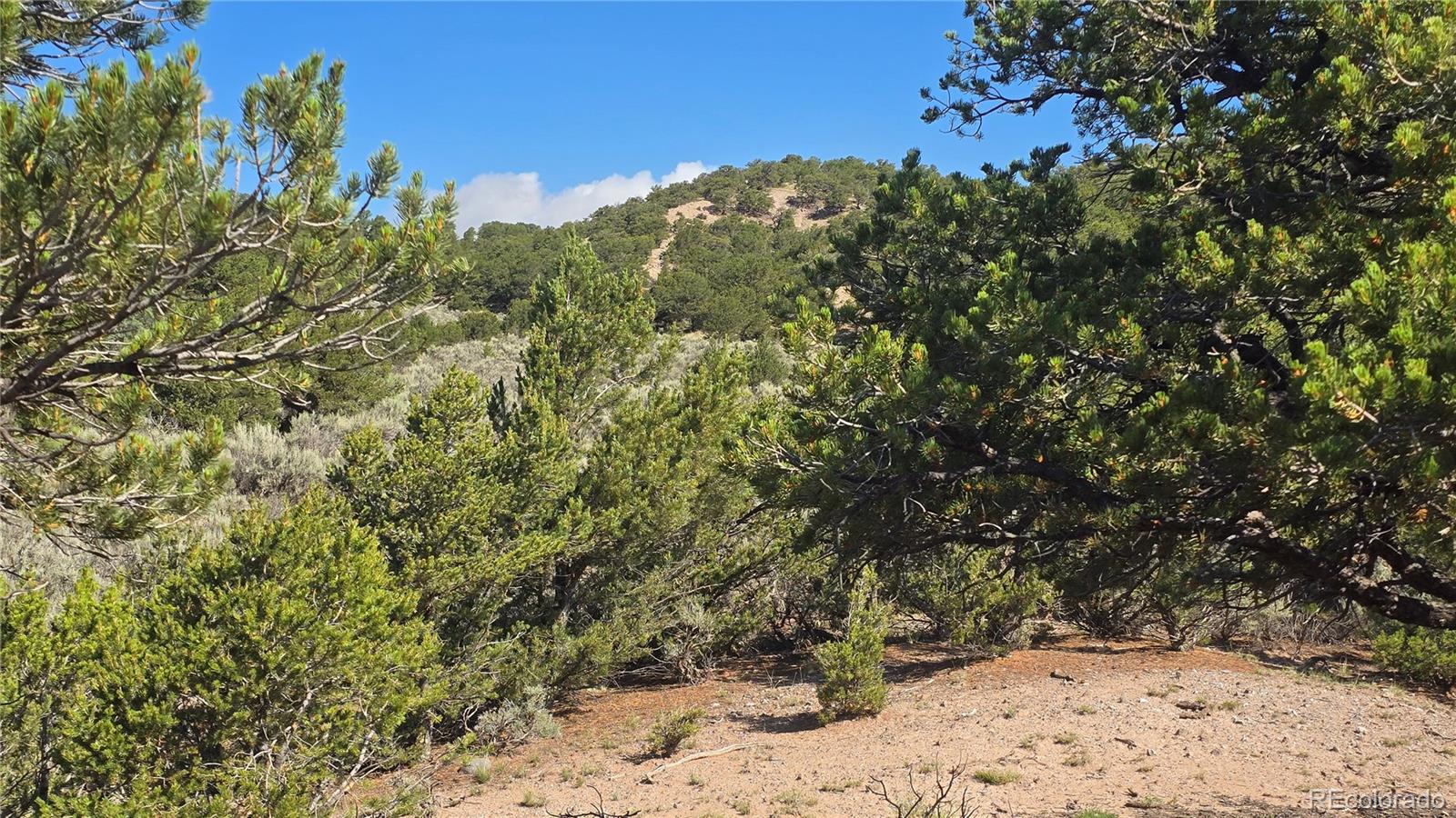 Lot 4296 Renfield Road Fort Garland CO 81133