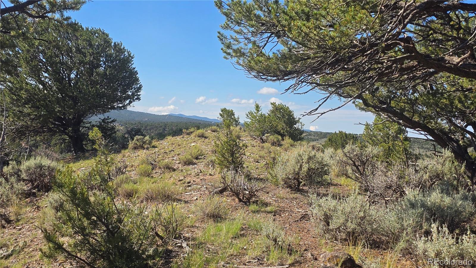 Lot 4296 Renfield Road Fort Garland CO 81133