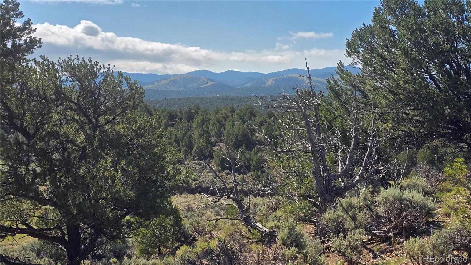 Lot 4296 Renfield Road Fort Garland CO 81133