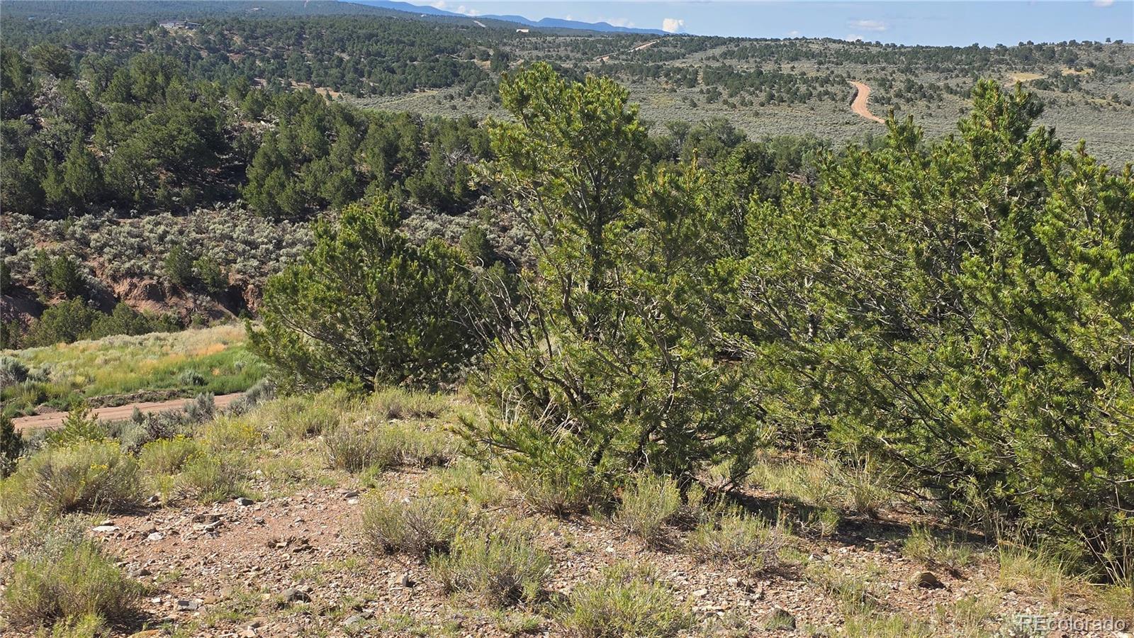 Lot 4296 Renfield Road Fort Garland CO 81133