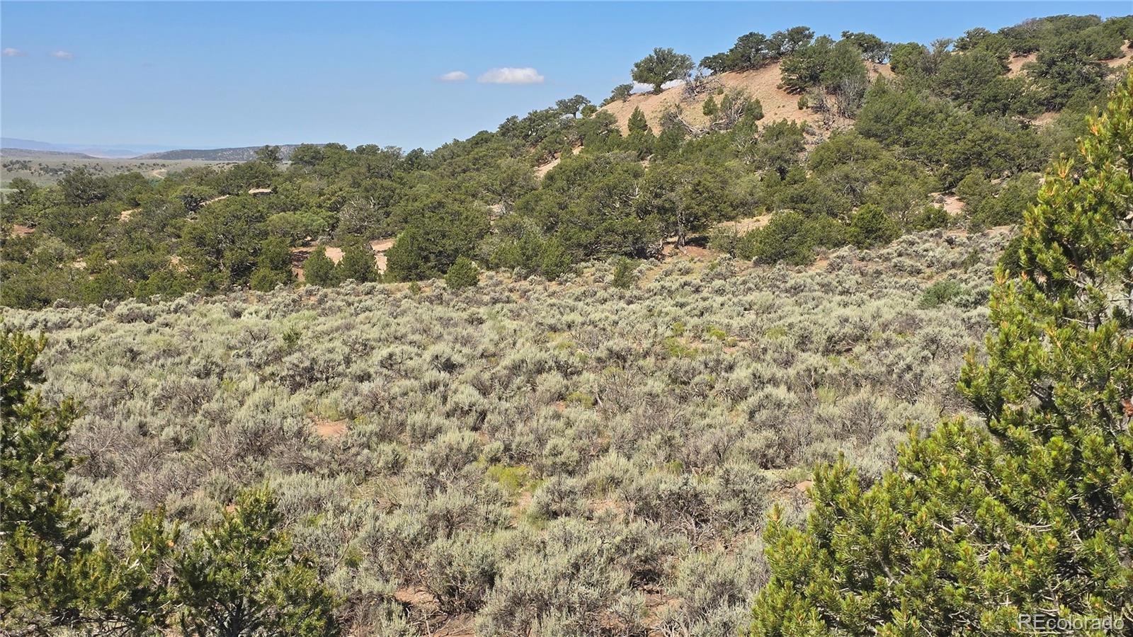 Lot 4296 Renfield Road Fort Garland CO 81133
