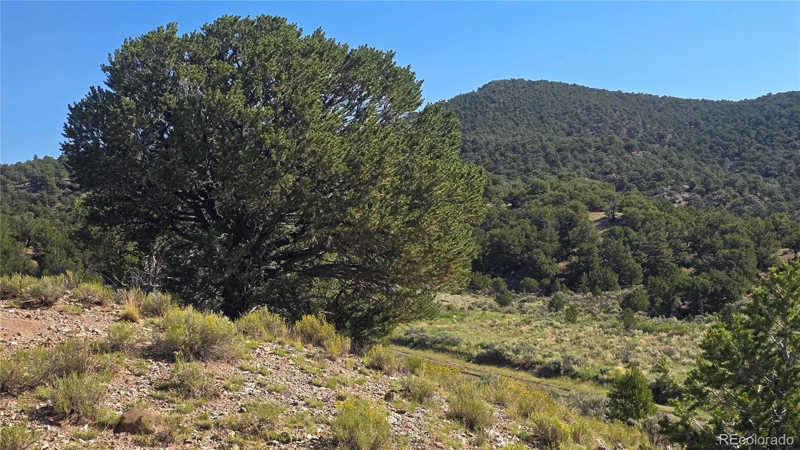 Lot 4296 Renfield Road Fort Garland CO 81133