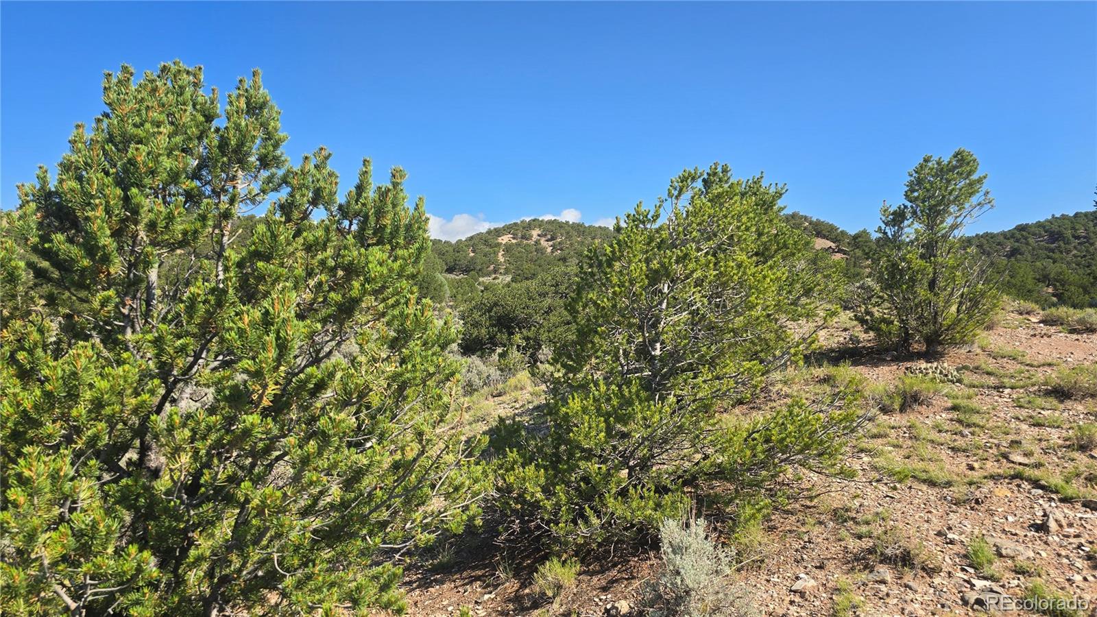 Lot 4296 Renfield Road Fort Garland CO 81133