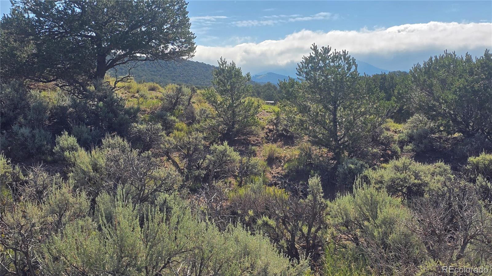 Lot 4296 Renfield Road Fort Garland CO 81133