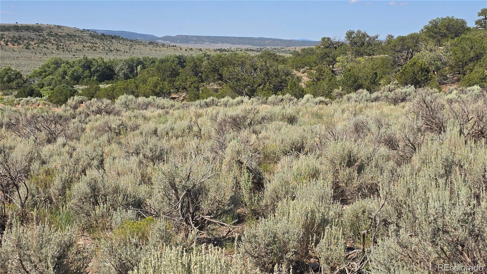 Lot 4296 Renfield Road Fort Garland CO 81133