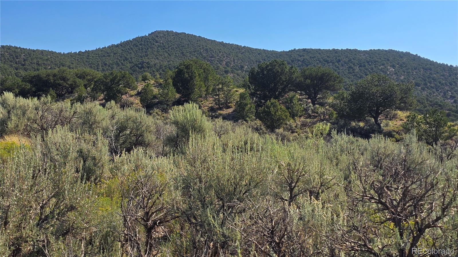 Lot 4296 Renfield Road Fort Garland CO 81133