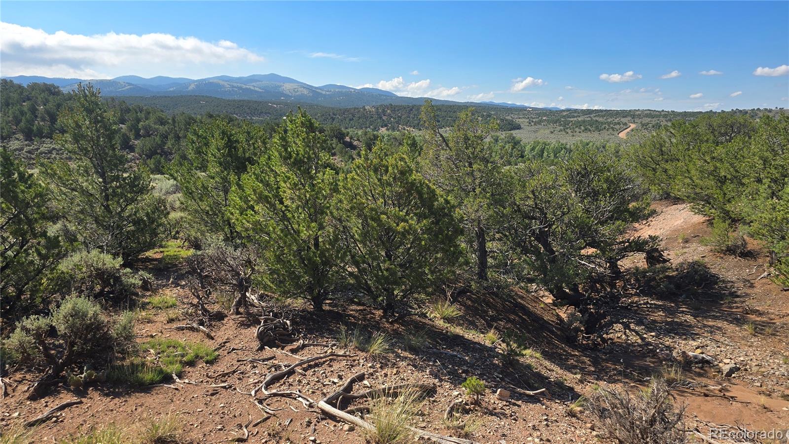 Lot 4296 Renfield Road Fort Garland CO 81133