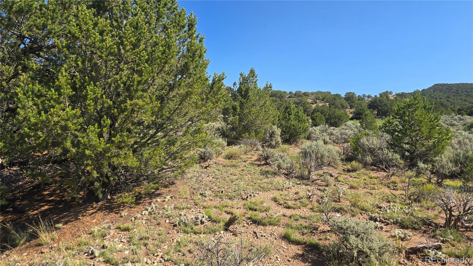Lot 4296 Renfield Road Fort Garland CO 81133
