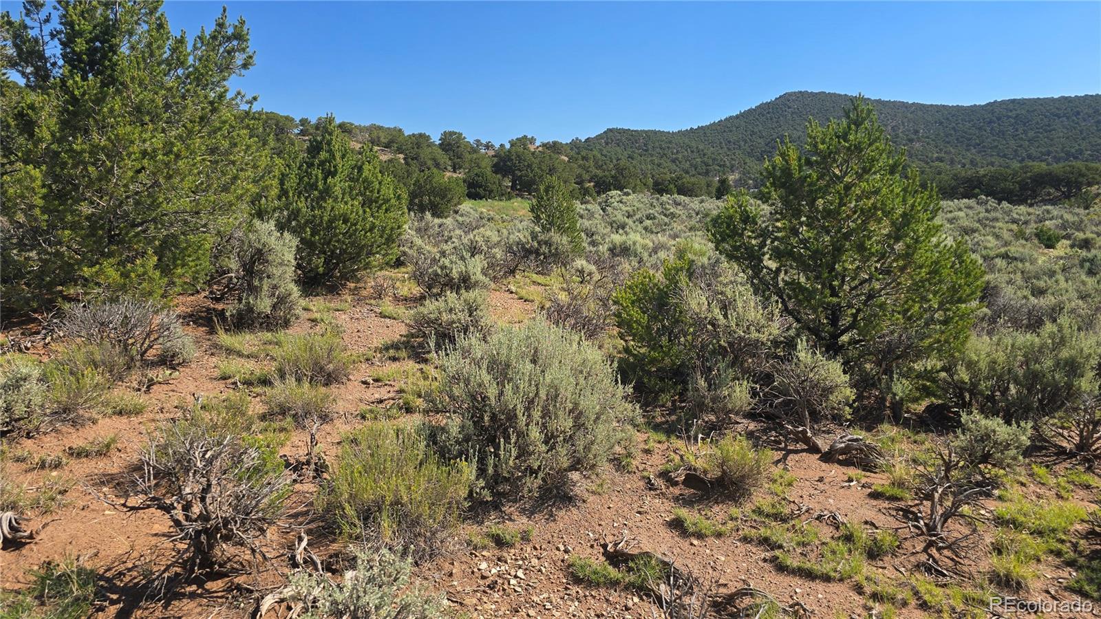 Lot 4296 Renfield Road Fort Garland CO 81133