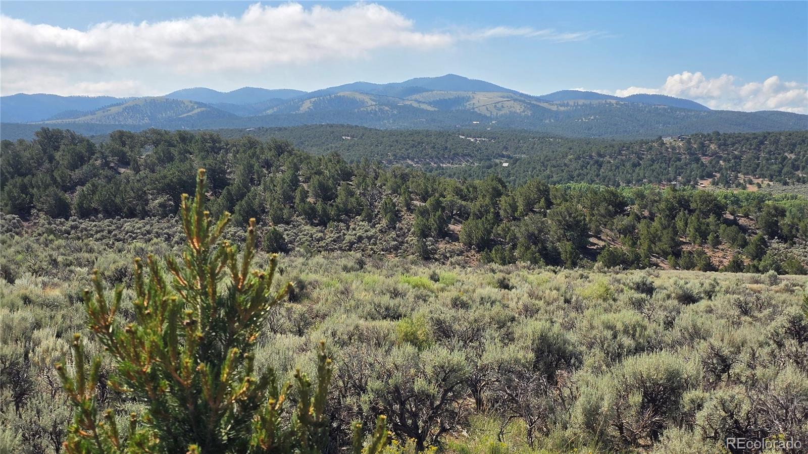 Lot 4296 Renfield Road Fort Garland CO 81133