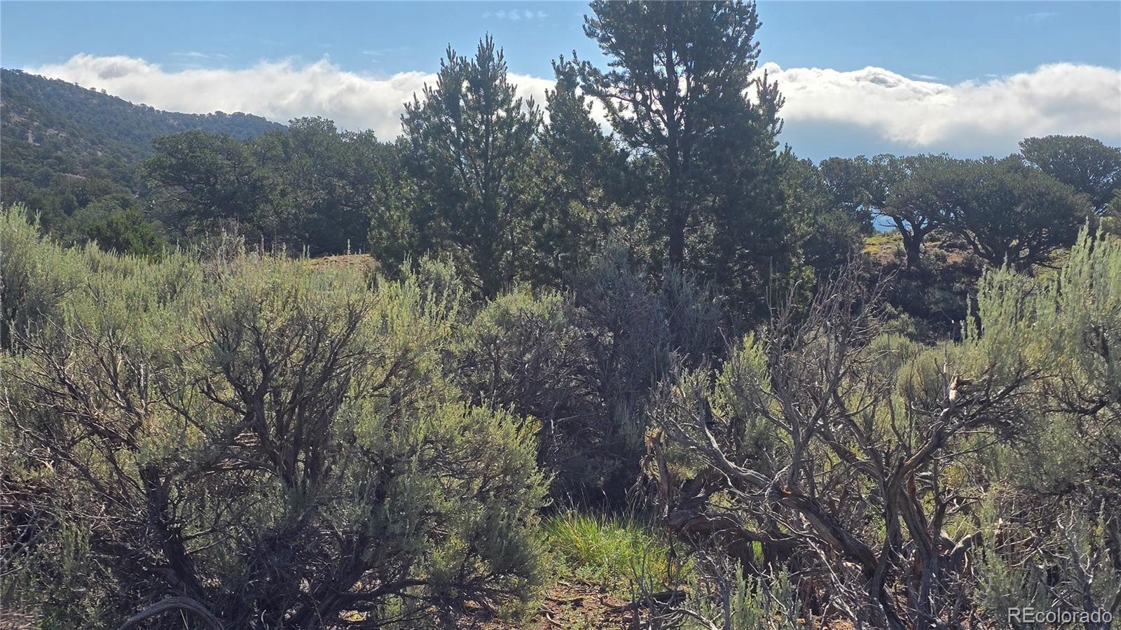 Lot 4296 Renfield Road Fort Garland CO 81133