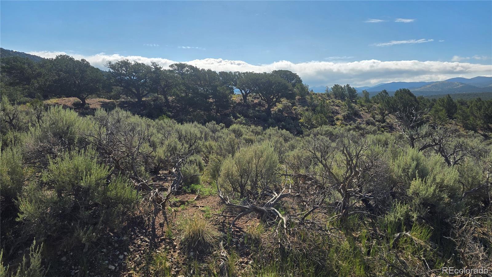 Lot 4296 Renfield Road Fort Garland CO 81133