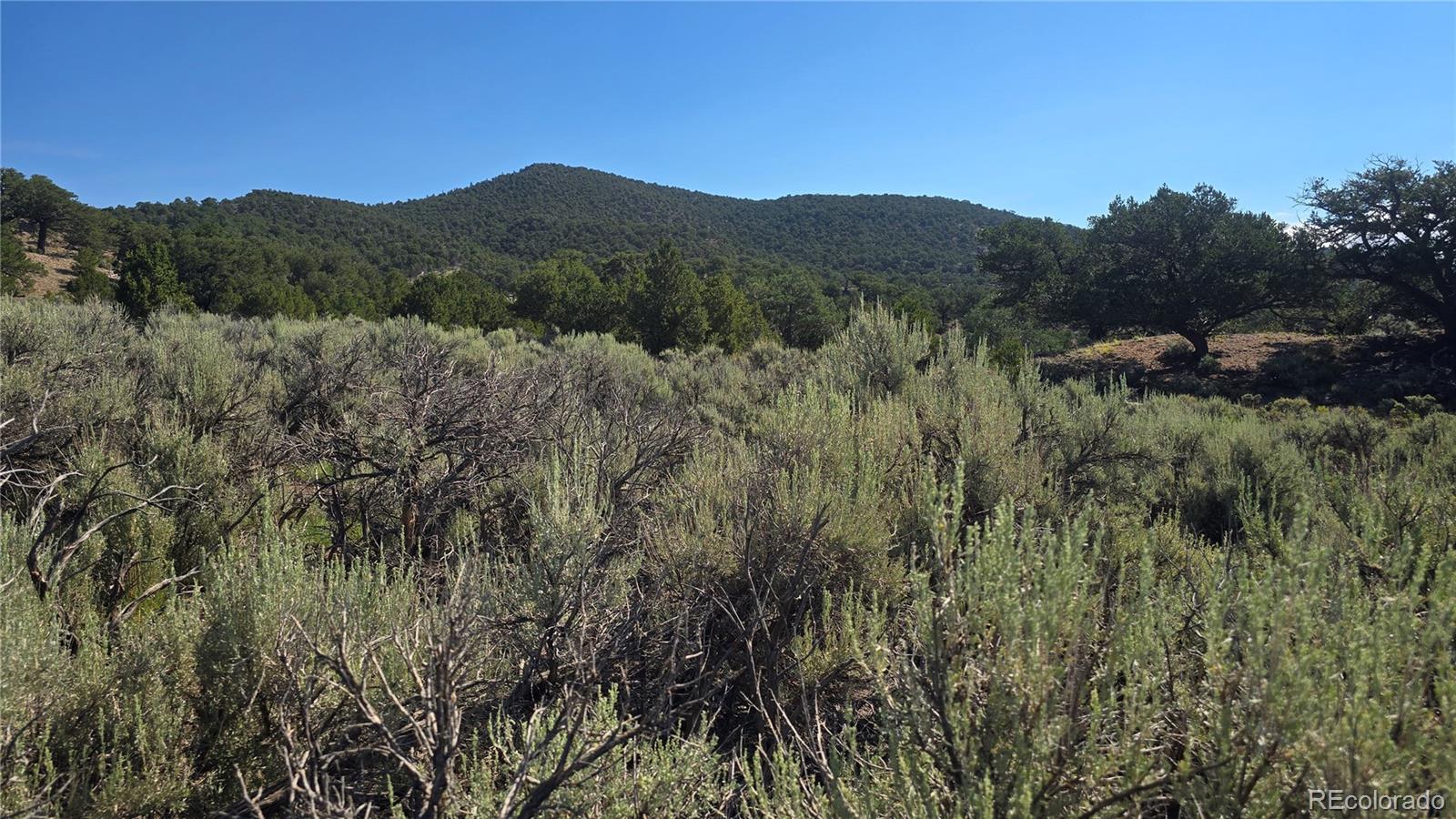 Lot 4296 Renfield Road Fort Garland CO 81133