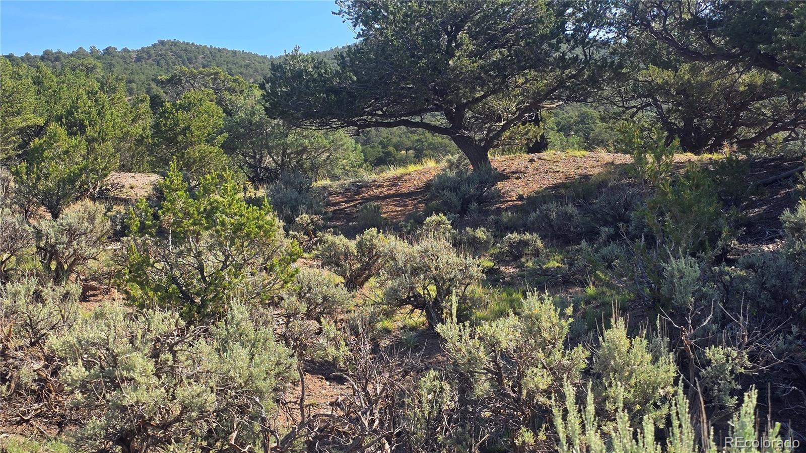 Lot 4296 Renfield Road Fort Garland CO 81133