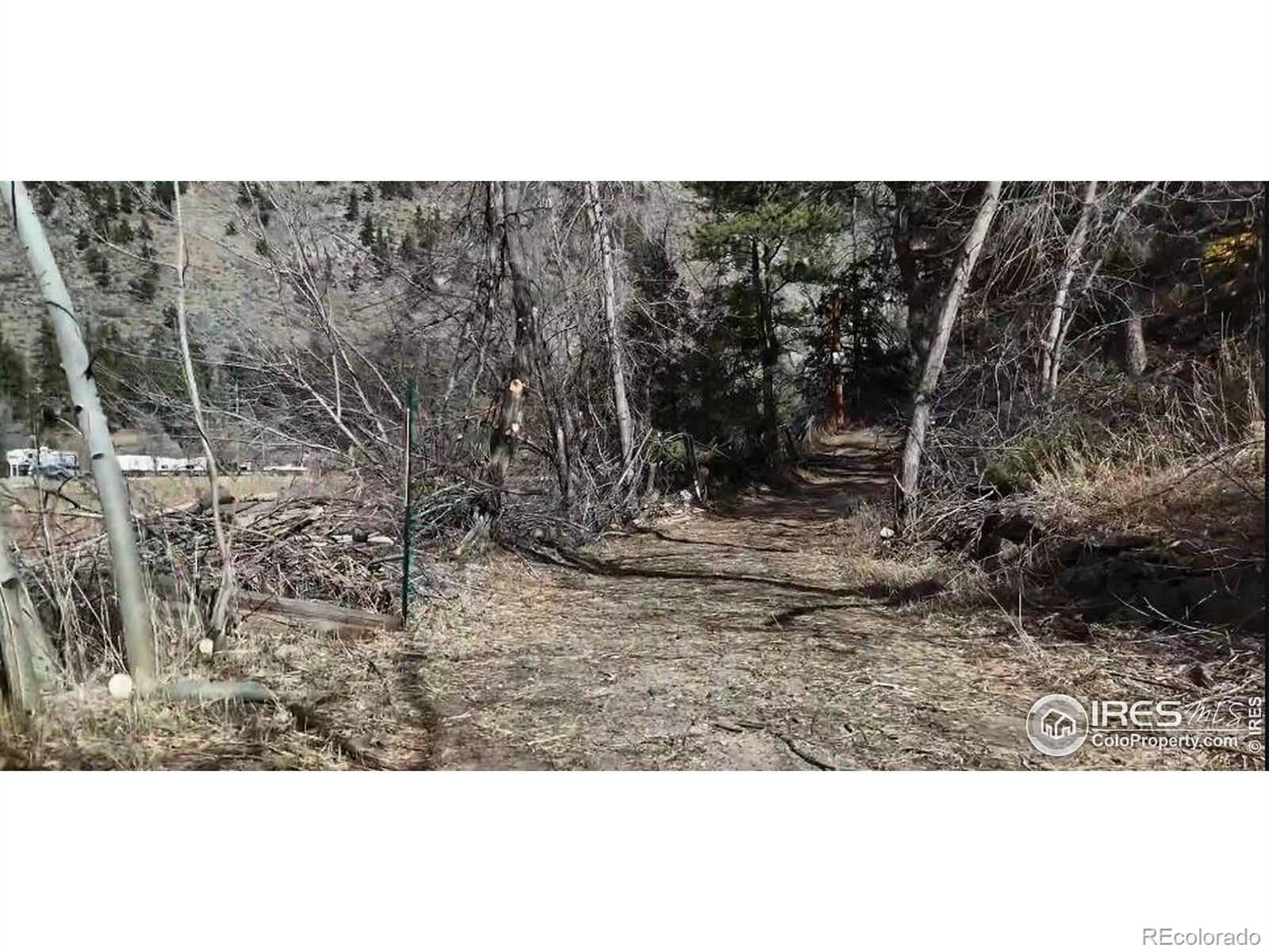 14 Sly Fox Road Drake CO 80515