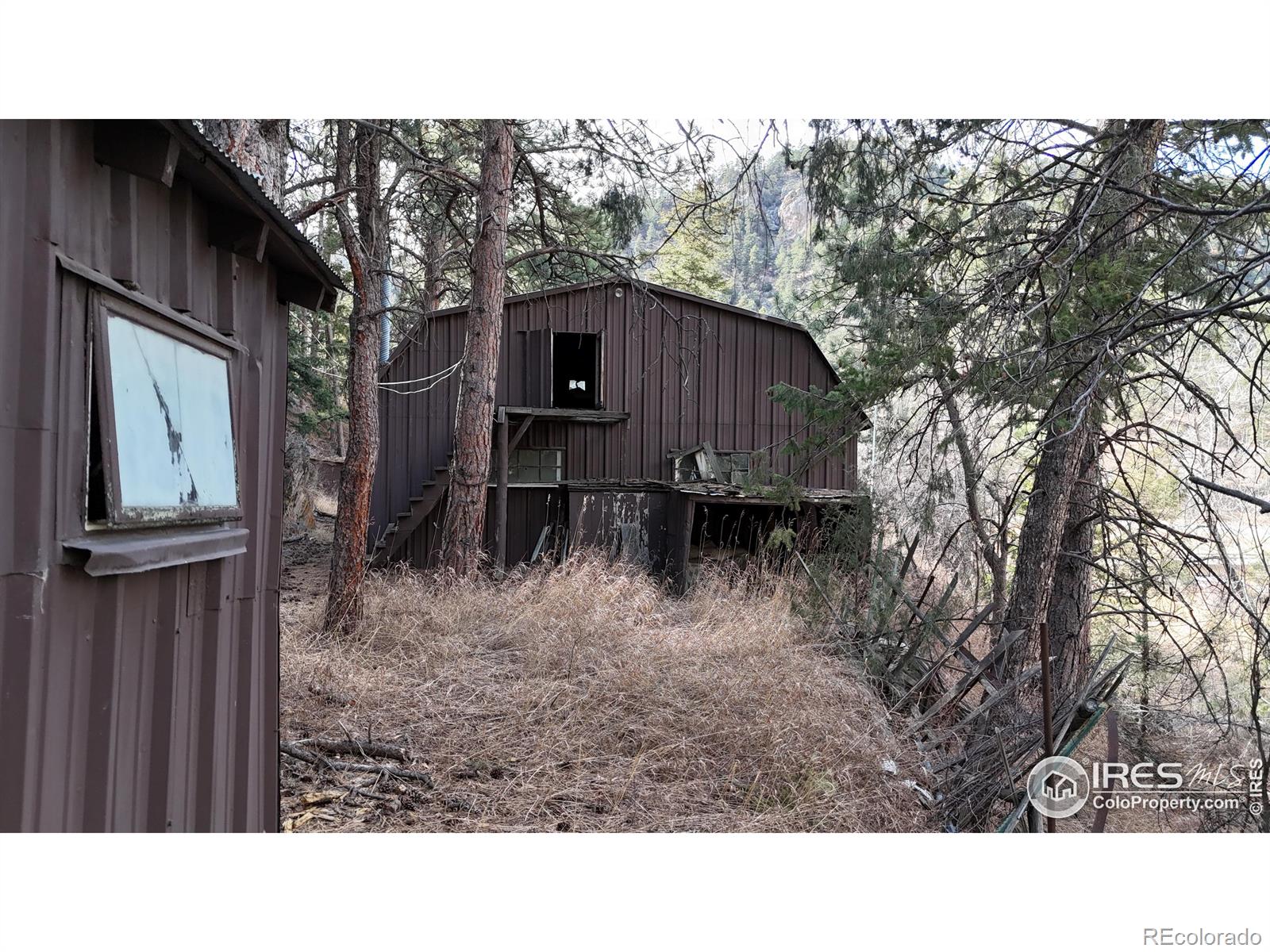 14 Sly Fox Road Drake CO 80515