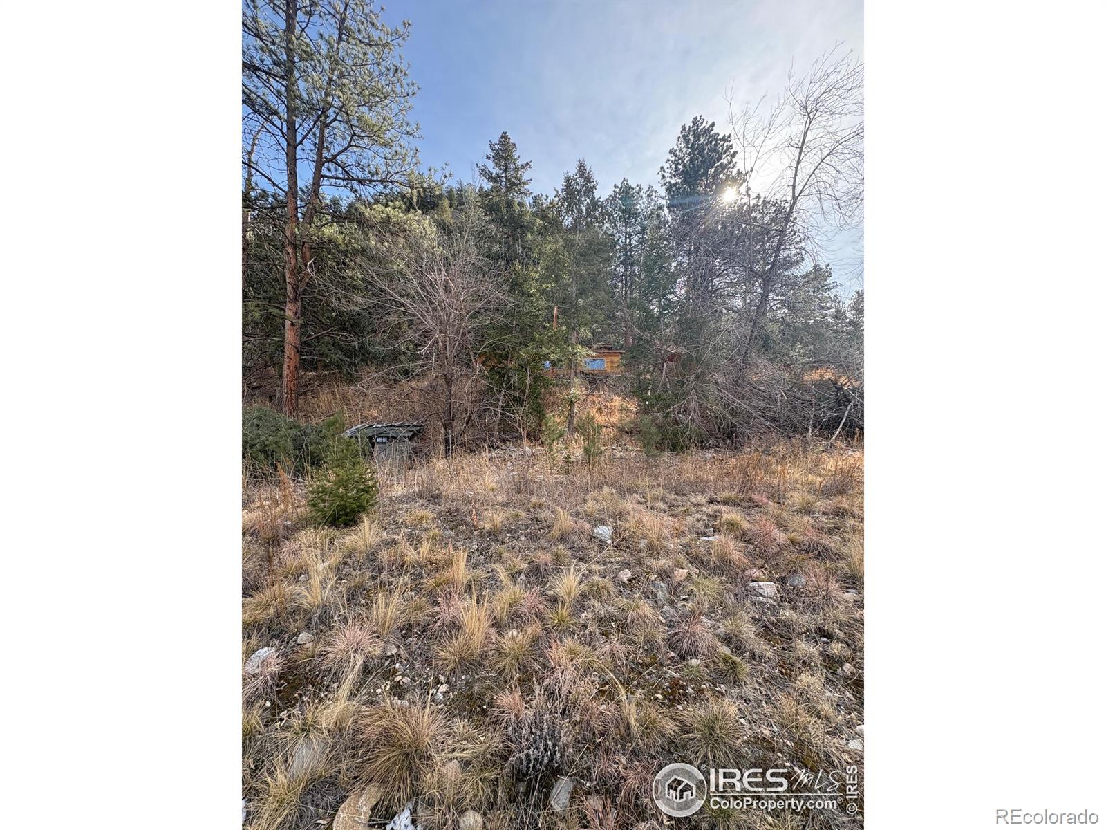 14 Sly Fox Road Drake CO 80515