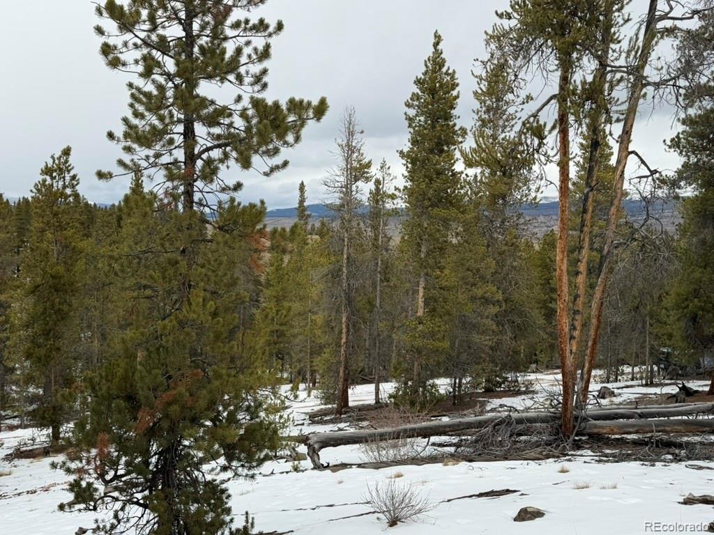 124 Lodgepole Drive Twin Lakes CO 81251