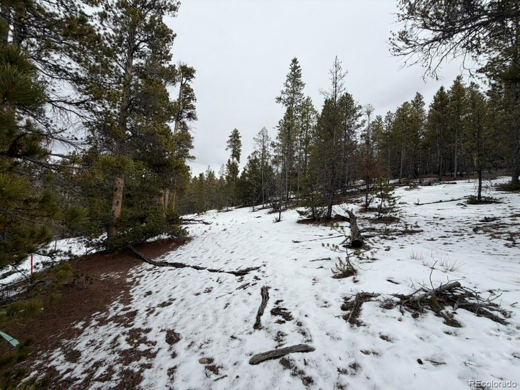 124 Lodgepole Drive Twin Lakes CO 81251