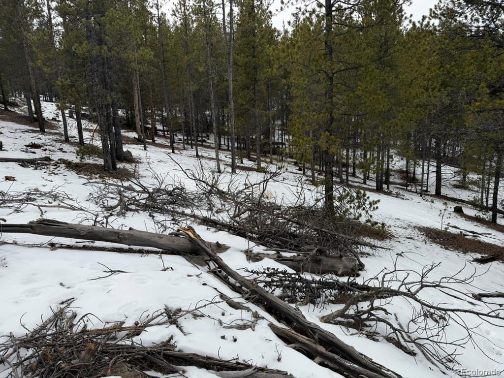 124 Lodgepole Drive Twin Lakes CO 81251