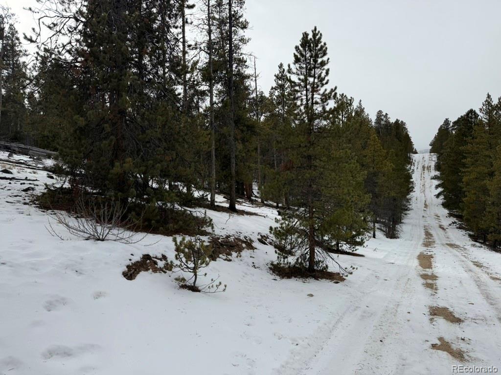 124 Lodgepole Drive Twin Lakes CO 81251