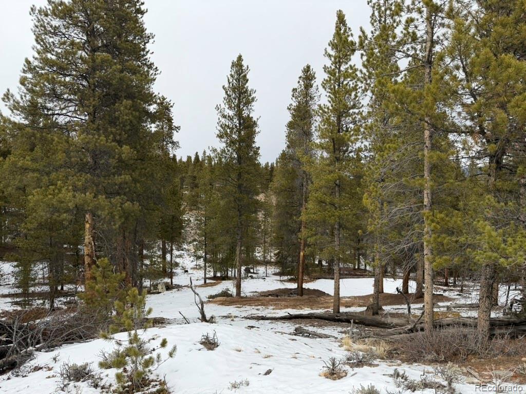 124 Lodgepole Drive Twin Lakes CO 81251