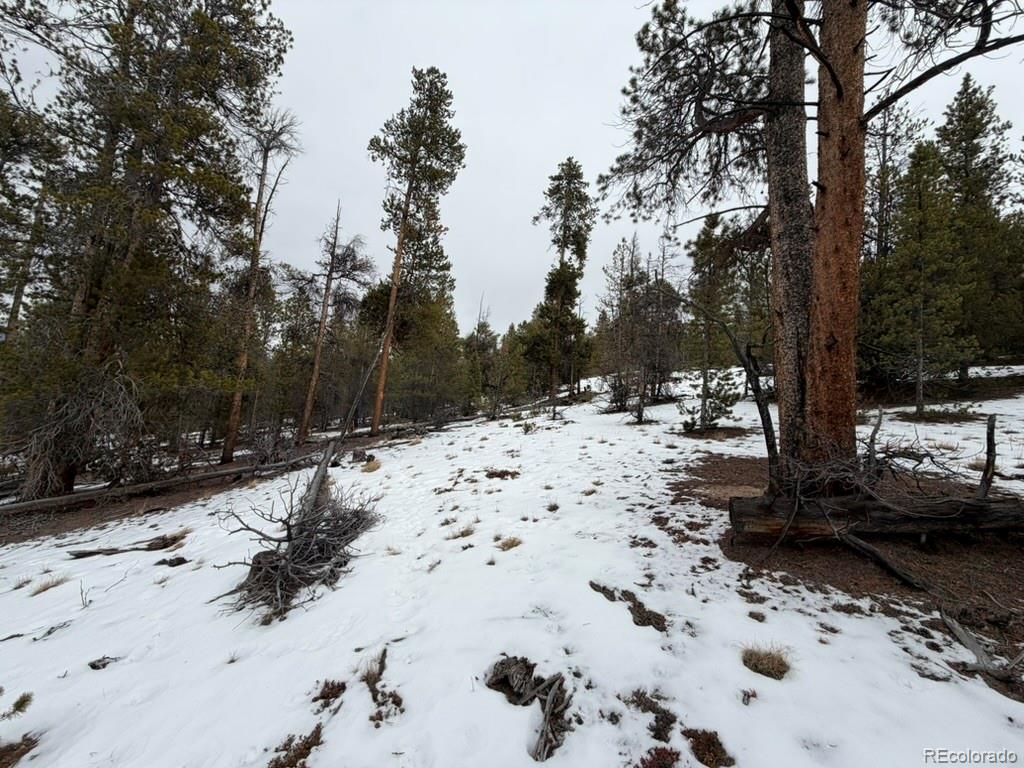 124 Lodgepole Drive Twin Lakes CO 81251