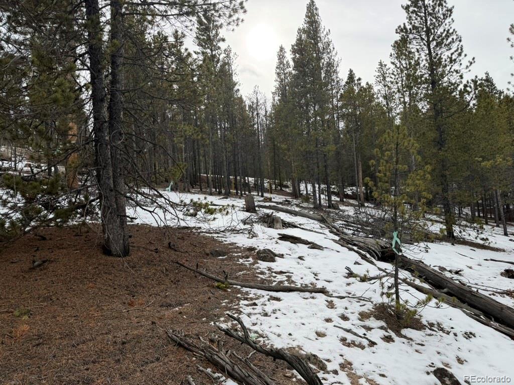 124 Lodgepole Drive Twin Lakes CO 81251