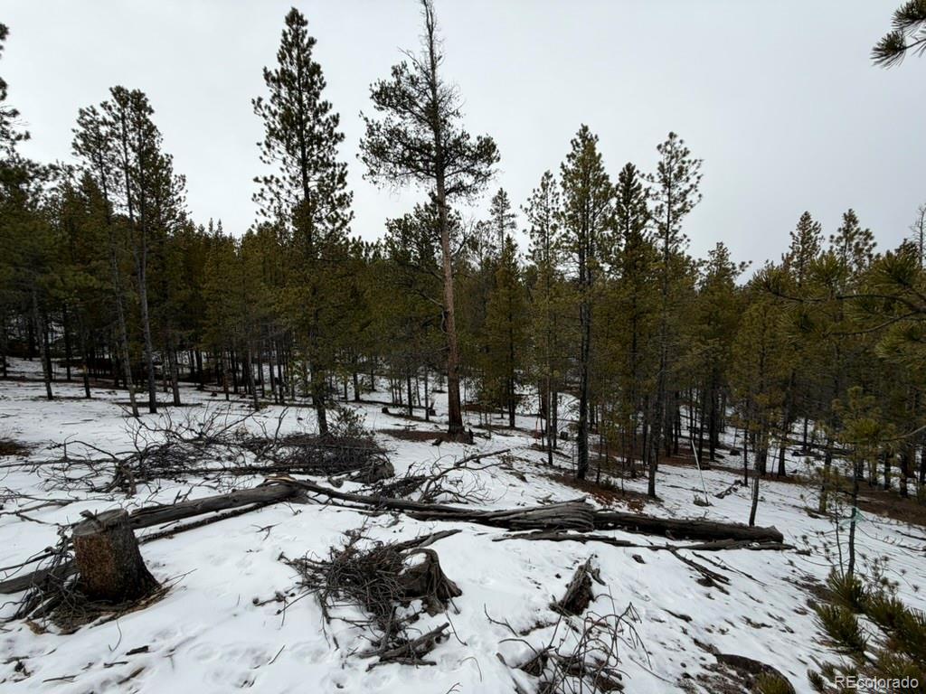 124 Lodgepole Drive Twin Lakes CO 81251