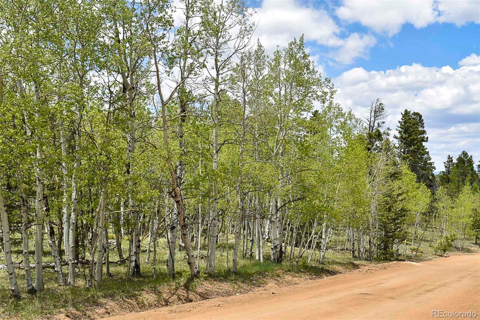 55 Aspen Way Drive Guffey CO 80820