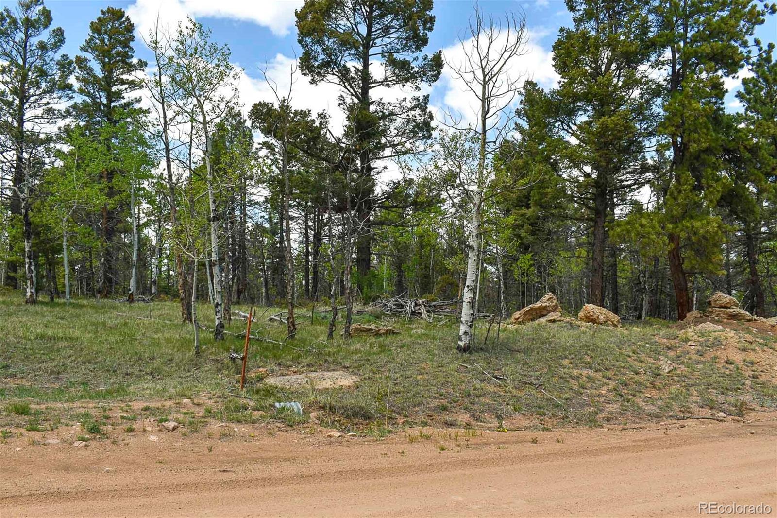 55 Aspen Way Drive Guffey CO 80820