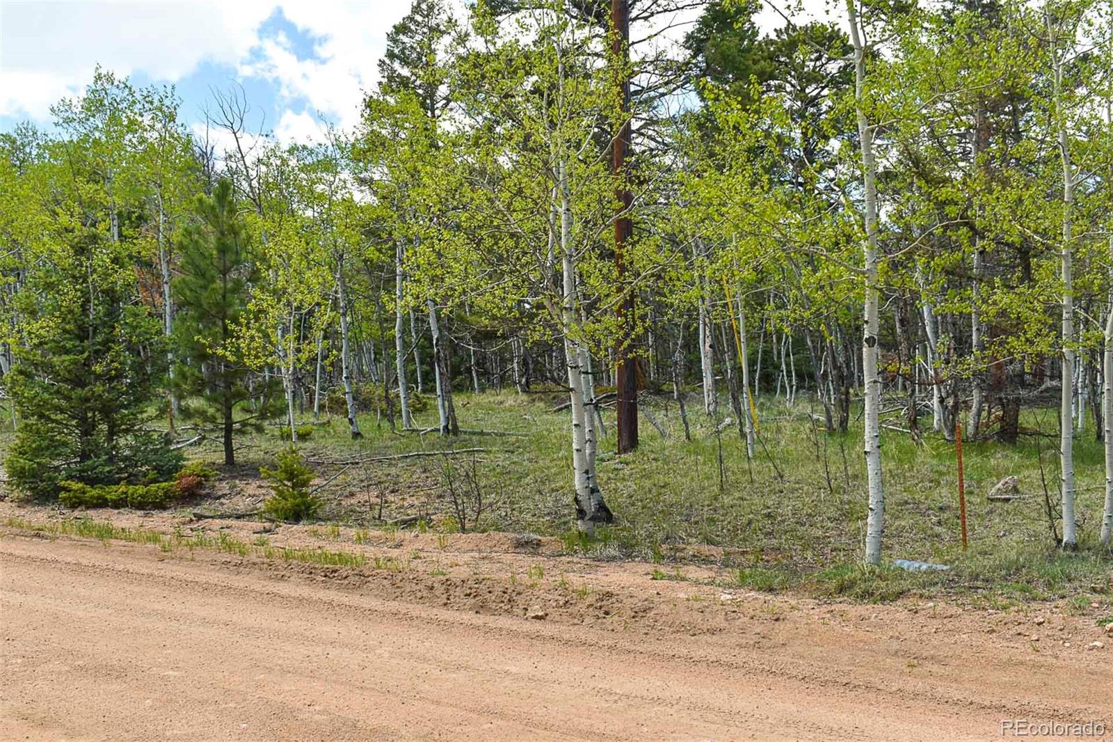 55 Aspen Way Drive Guffey CO 80820