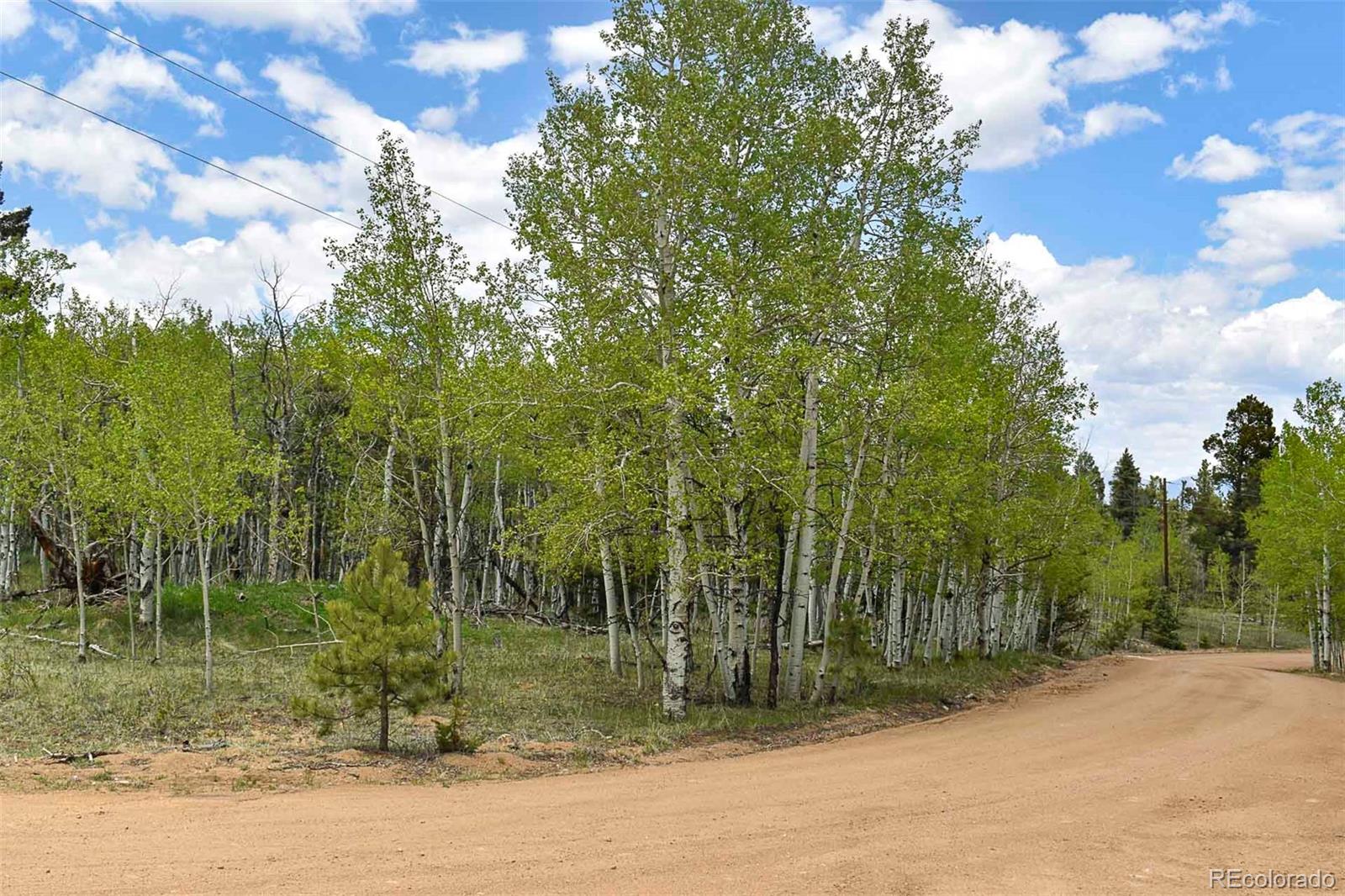 55 Aspen Way Drive Guffey CO 80820