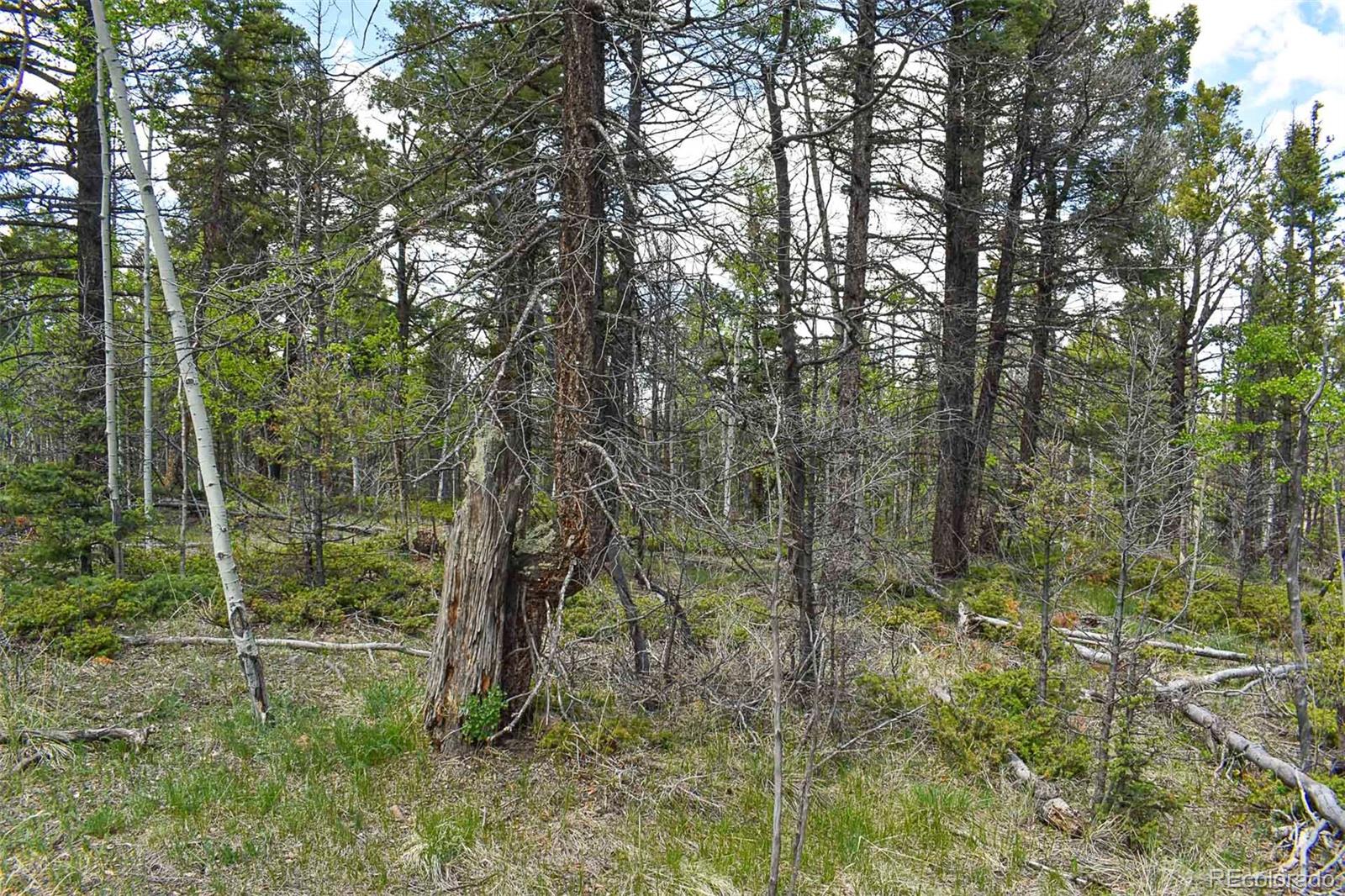 55 Aspen Way Drive Guffey CO 80820