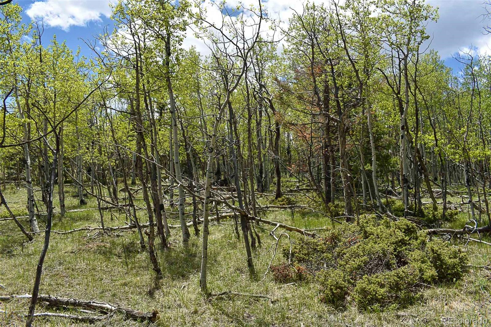 55 Aspen Way Drive Guffey CO 80820