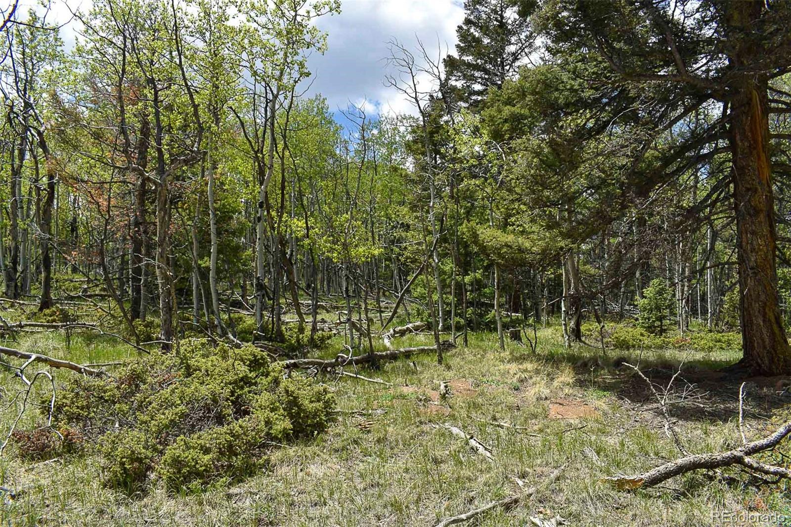 55 Aspen Way Drive Guffey CO 80820