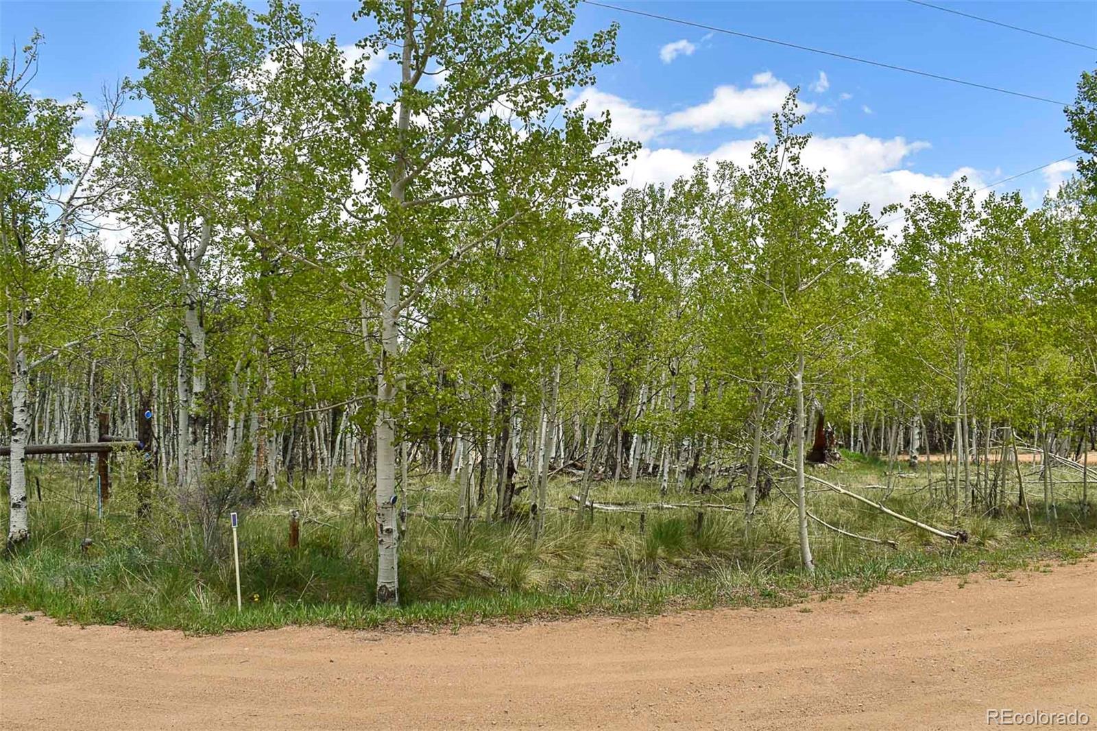 55 Aspen Way Drive Guffey CO 80820